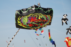Berck2010-009