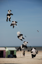 Berck2010-011