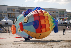 Berck2010-014