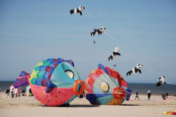 Berck2010-015