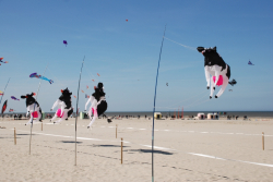 Berck2010-016