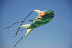 Berck2010-017