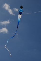 Berck2010-019