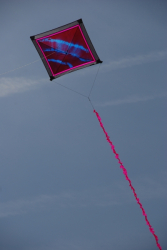 Berck2010-020