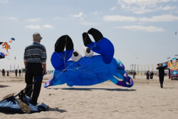 Berck2010-021