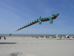 Berck2010-024