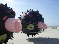 Berck2010-025