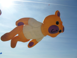 Berck2010-028