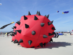 Berck2010-031