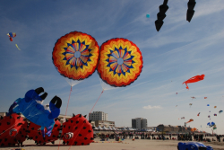 Berck2010-036