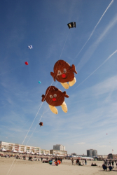 Berck2010-039