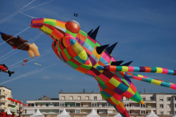Berck2010-043