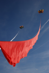 Berck2010-045