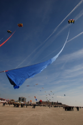 Berck2010-046