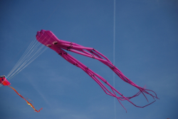 Berck2010-058