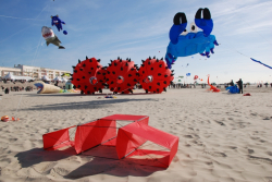 Berck2010-062