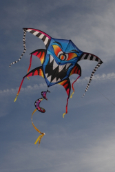 Berck2010-068