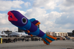 Berck2010-133