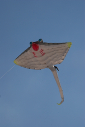 Berck2010-136