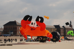 Berck2010-138