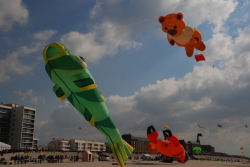 Berck2010-139