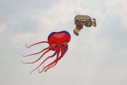 Berck2010-140