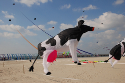 Berck2010-142