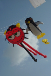 Berck2010-208