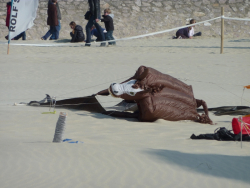 Berck2010-212