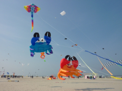 Berck2010-216