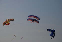 Berck2010-222