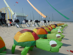 Berck2010-239