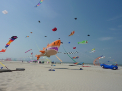 Berck2010-241