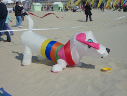 Berck2010-251