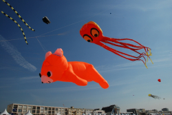 Berck2010-257