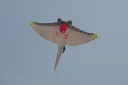 Berck2010-266