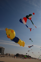 Berck2010-267