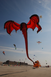Berck2010-269