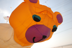 Berck2010-271