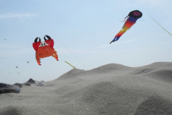 Berck2010-275