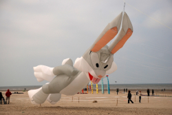 Berck2010-276