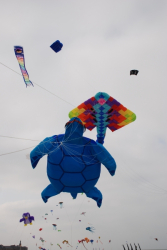 Berck2010-277