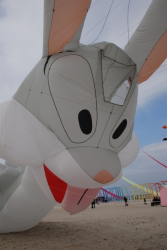 Berck2010-281