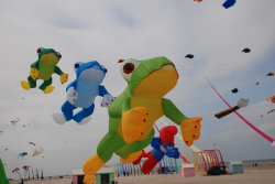 Berck2010-282
