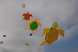 Berck2010-284