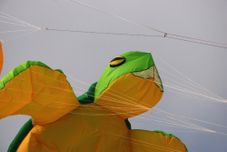 Berck2010-285