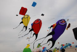 Berck2010-288