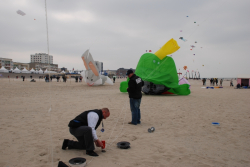 Berck2010-290
