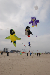 Berck2010-292