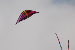 Berck2010-293